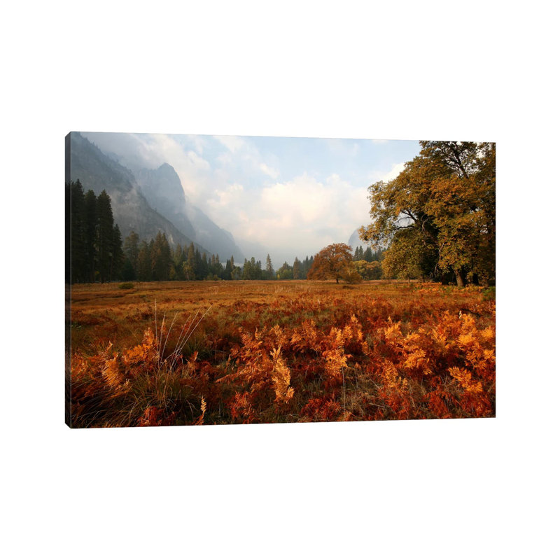 Meadow 1 Piece Wrapped Canvas Wall Art