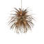 Abyssinia LED Chandelier