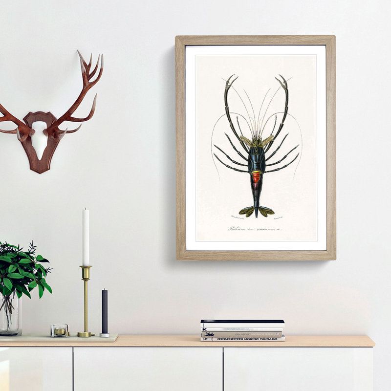 Crimson Crawfish Illustration by Charles D Orbigny - Framed Print, 65cm H x 48cm W x 2cm D, Oak Framed