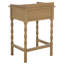 Mia Astaroth Accent Table-271011196