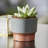 Pot Planter