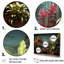 «Graffiti Urban Greenery Poetry I», reproduction sur toile-1586579006-1586579007