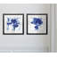 « blue ice iris », ensemble de 2 reproductions de peintures encadrées