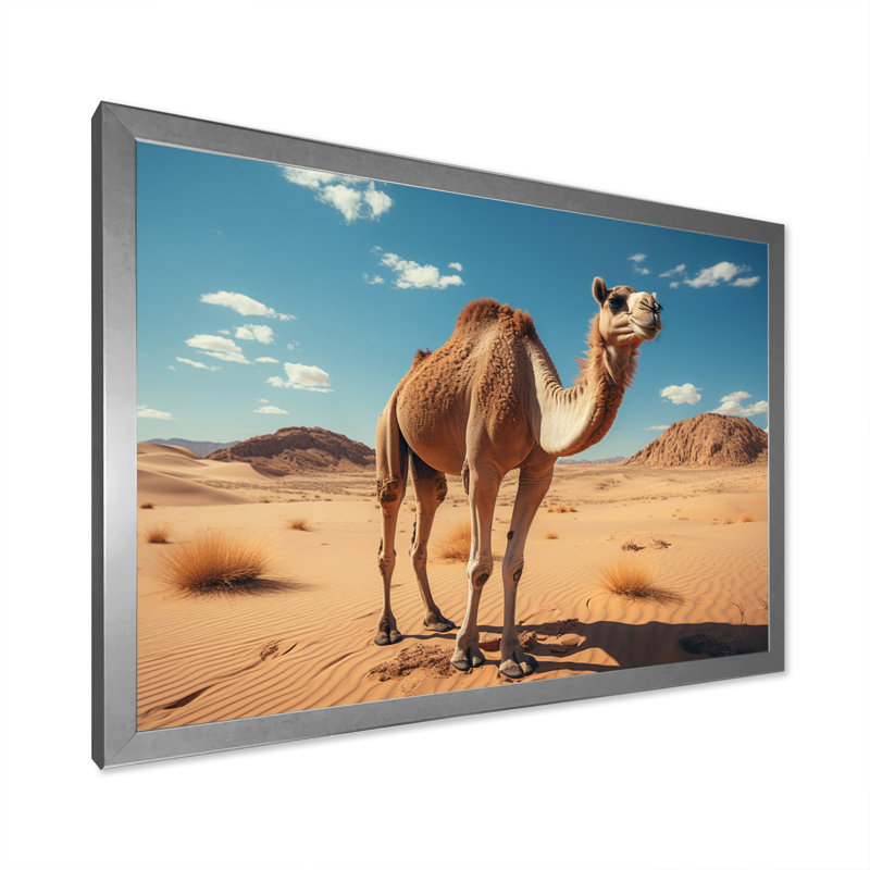 Chameau désert Wanderer I - impression, Cadre simple argenté, H 24 po x l 32 po x P 1 po