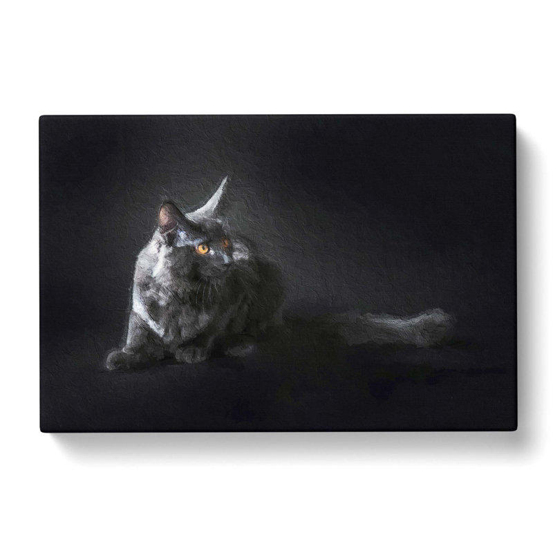Maine Coon Kitten - Wrapped Canvas Painting, 50cm H x 76cm W x 3cm D