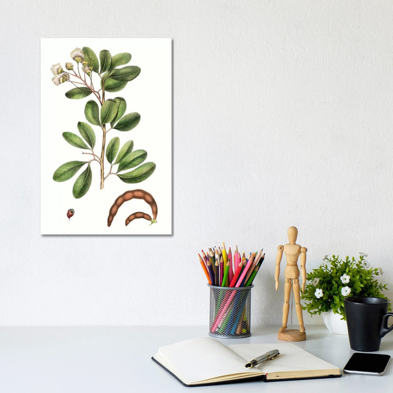 Foliage And Blooms III by Thomas Nuttall - Wrapped Canvas Gallery-Wrapped Canvas Giclée, 30.48cm H x 20.32cm W