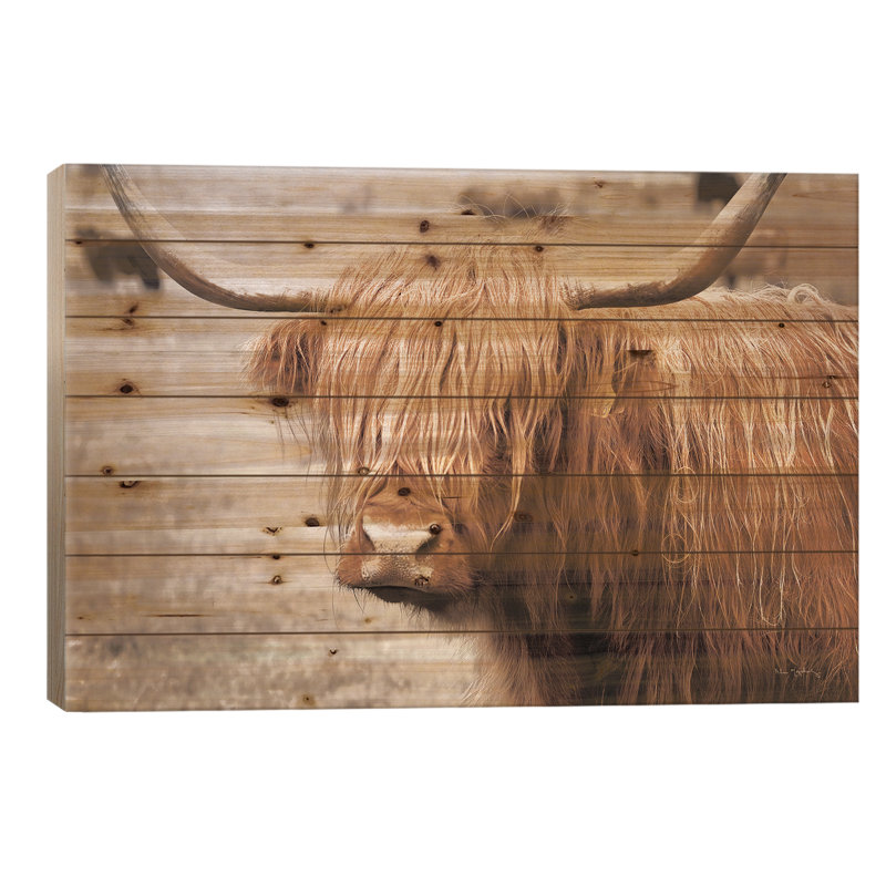 " Scottish Highland Cattle I Neutral " by Alan Majchrowicz, 18" H x 26" W x 1.5" D