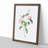 Austrian Briar Rose In Pink by Pierre-Joseph Redoute - Single Picture Frame Painting-55457027-55457030