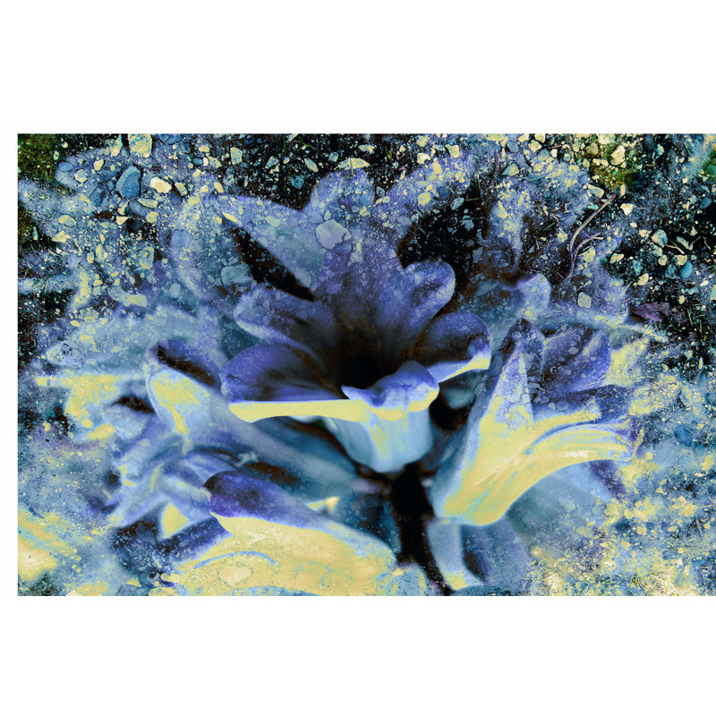 Silverbell I by Danielle Harrington - Wrapped Canvas Painting, 30cm H x 46cm W x 3.8cm D