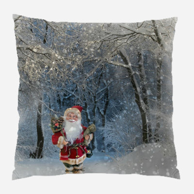 Canvas Outdoor Reversible Throw Pillow