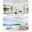 52 - Ventilateur de plafond-97395351-97672901
