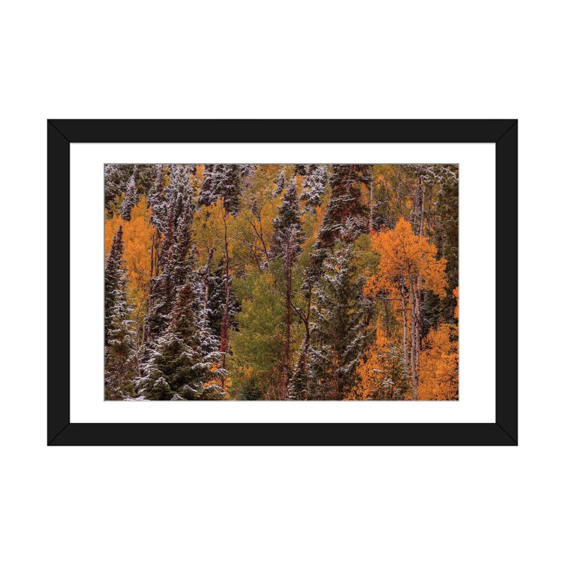 « contrasts » par bill sherrell, reproduction d’impression sur toile tendue, H 16 po x l 24 po x P 1 po, Black Framed Paper