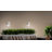 LED Wall Light-55898205-55898207