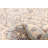 Lenrow One-of-a-Kind 7'11" X 10'1" New Age Wool Area Rug in