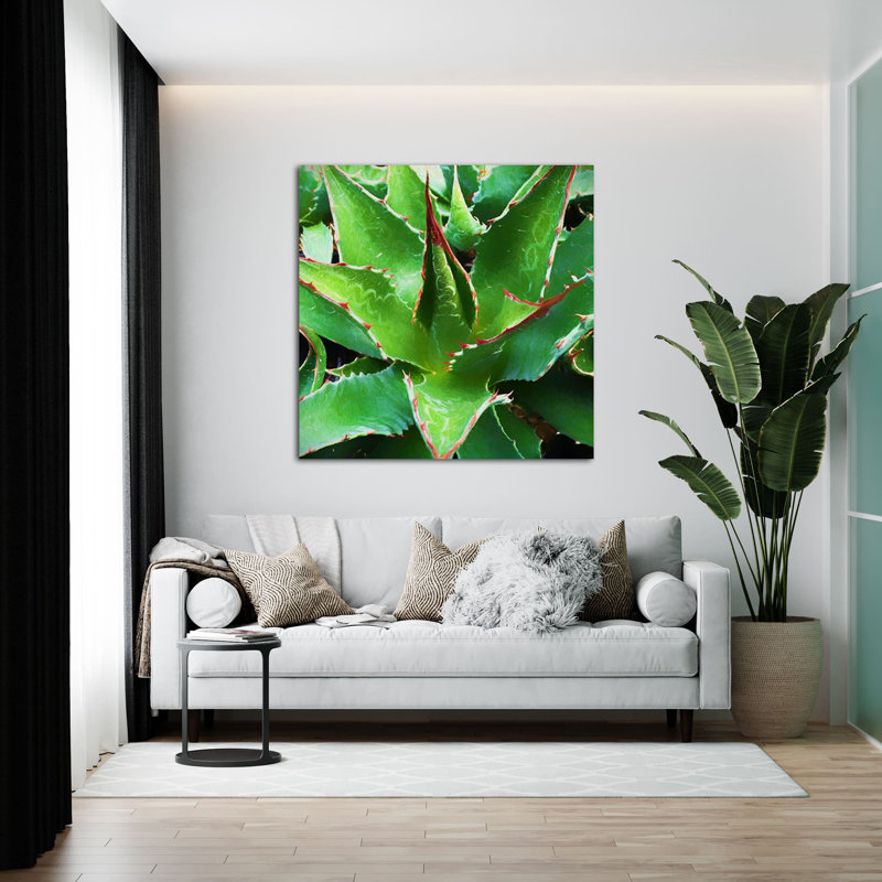 " Agave Montana ", 36" H x 36" W x 1.5" D