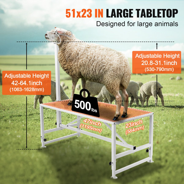 WORLD SHOP BOX Goat And Sheep Stand, 47X23 Inch Livestock Stand, Metal ...