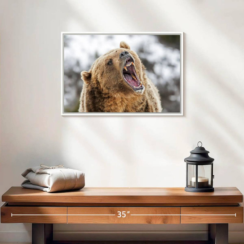 Grizzly rugissant, 19 po x 13 po, Cadre flottant blanc