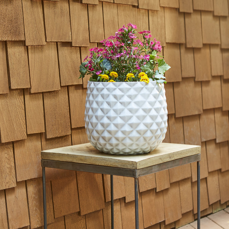 12" High Pineapple Planter, 2-pack