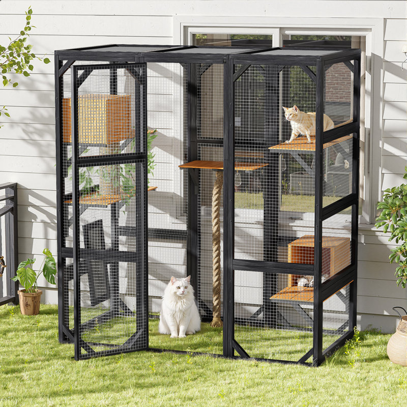Outdoor Cat Enclosure with Double Doors and Multiple Platforms, Black/Brown