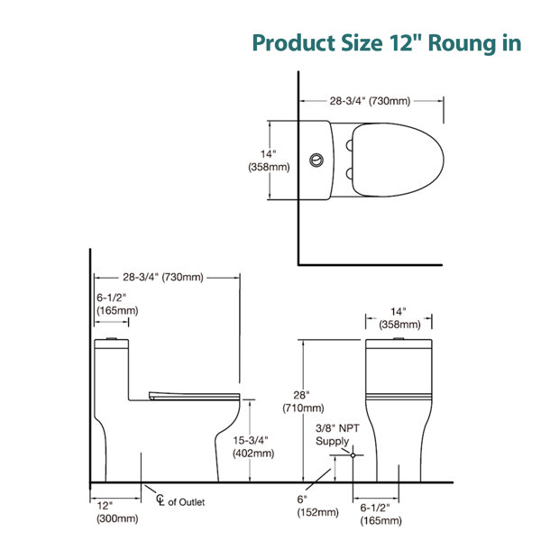 Product Dimensions