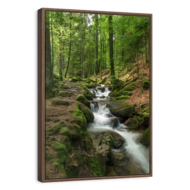 Ruisseau Buhl Forest, 17 po x 25 po, Cadre flottant noyer