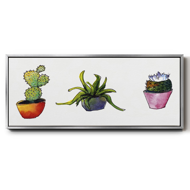 Vibrant Succulents I - Toile encadrée, H 8 po x l 20 po