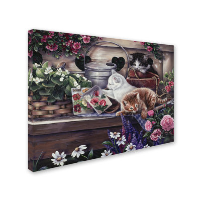 Caiti 'Playful Kittens' Graphic Art Print on Wrapped Canvas