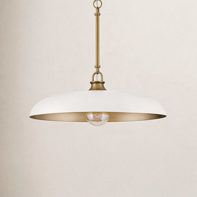 Hinkley Sadie Dimmable Single Light Pendant