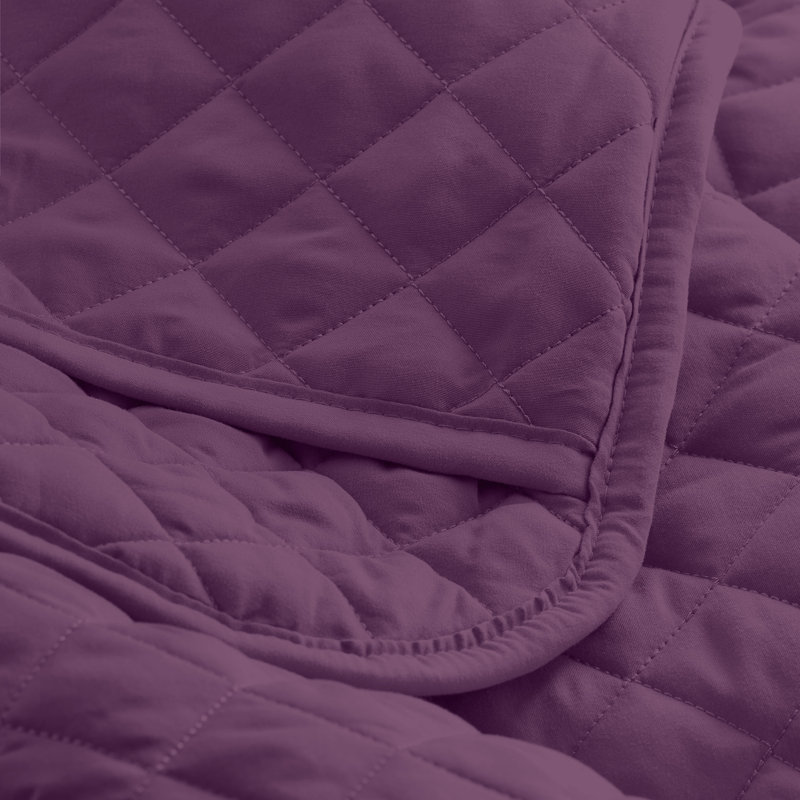 Ensemble de couvre-lit moderne et contemporain en microfibre 3 pièces , Prune