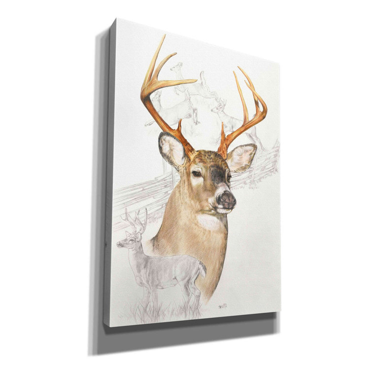 Whitetail Deer In Winter On Wood by Sam Timm Print
