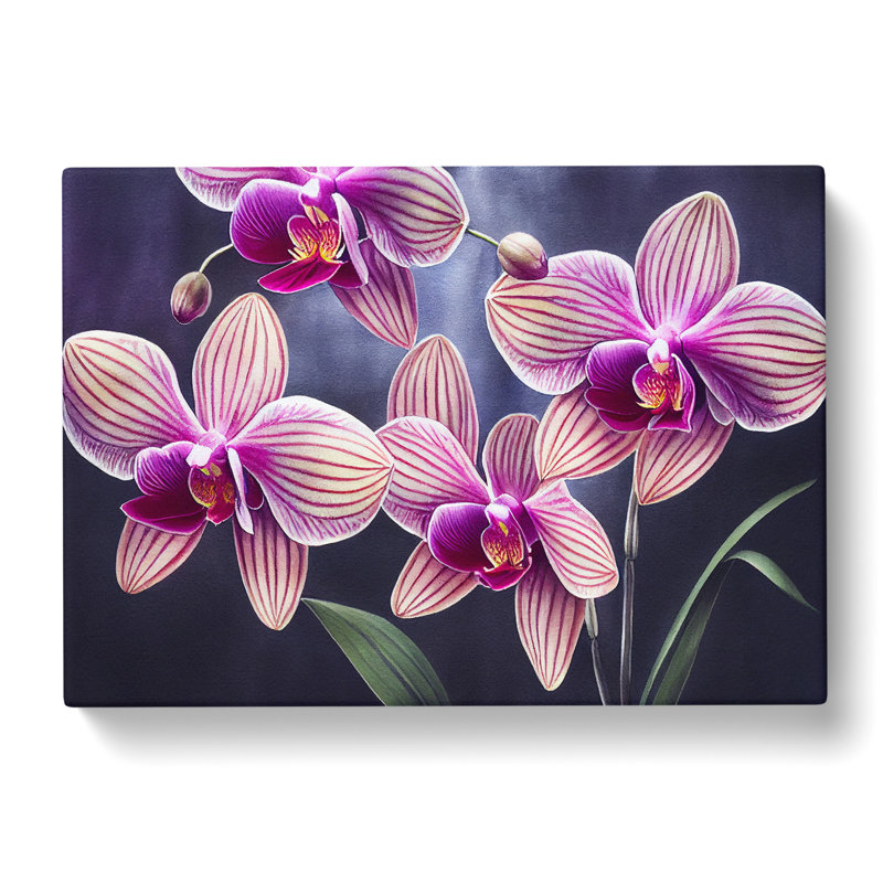 Enticing Orchid Flowers - Wrapped Canvas