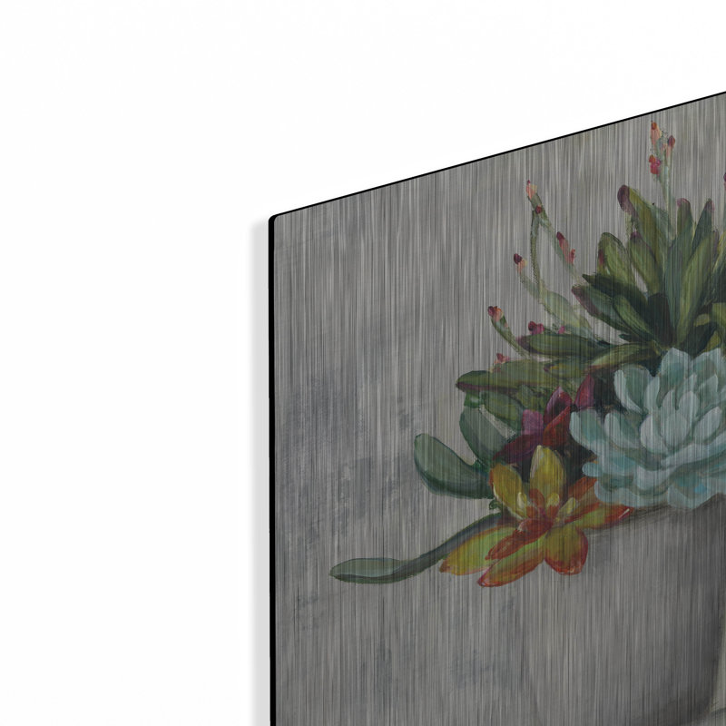 «Succulent Still Life 1» par Julia Purinton, art mural en métal, H 12 po x l 12 po