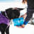 Zippy Bowl-49700127