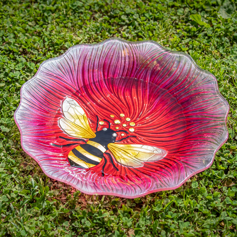 Amanjeet Glass Single Tier Birdbath