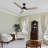 3 - Blade LED Smart Ceiling Fan with Light-101830622-91062341