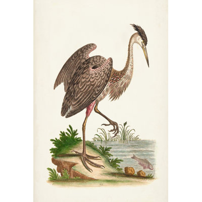 Antique Heron & Cranes III - Wrapped Canvas Painting
