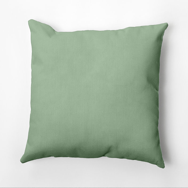 Housse de coussin Ajibola, Vert margarita, 20 po x 20 po, Polyester/ bourre en polyester