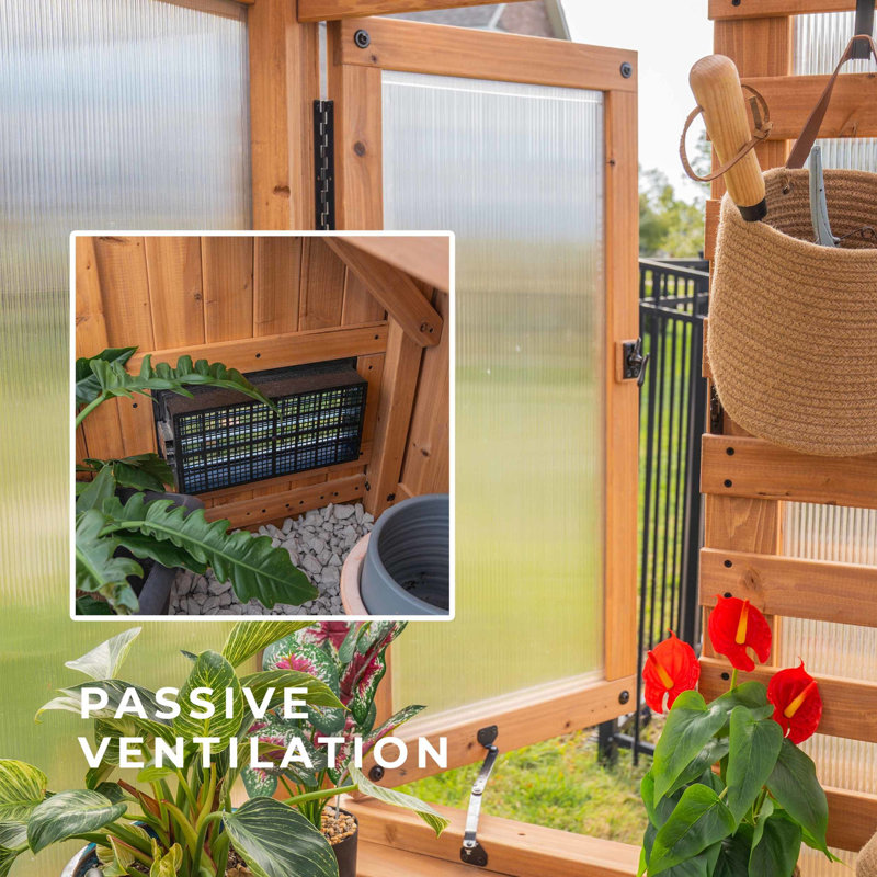 9 x 6 Cedar Wood and Polycarbonate Greenhouse