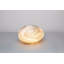 Brason Glass Novelty Lamp