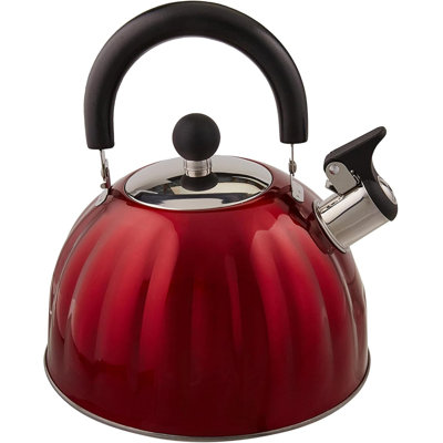 Bouilloire sifflet en acier inoxydable 2,1 litres ORIXFORCE