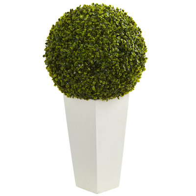 28'' Faux Boxwood Topiary in Ceramic Planter
