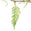 Hanging Plants 125cm Faux Foliage Plant