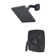 Bronson Dual Function Shower Faucet