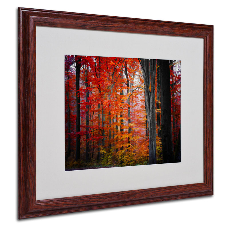 "No Title" par Philippe Sainte-Laudy, reproduction de photo encadrée, H 16 po x l 20 po x P 0,5 po, Brun