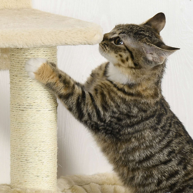 Thor Cat Perch