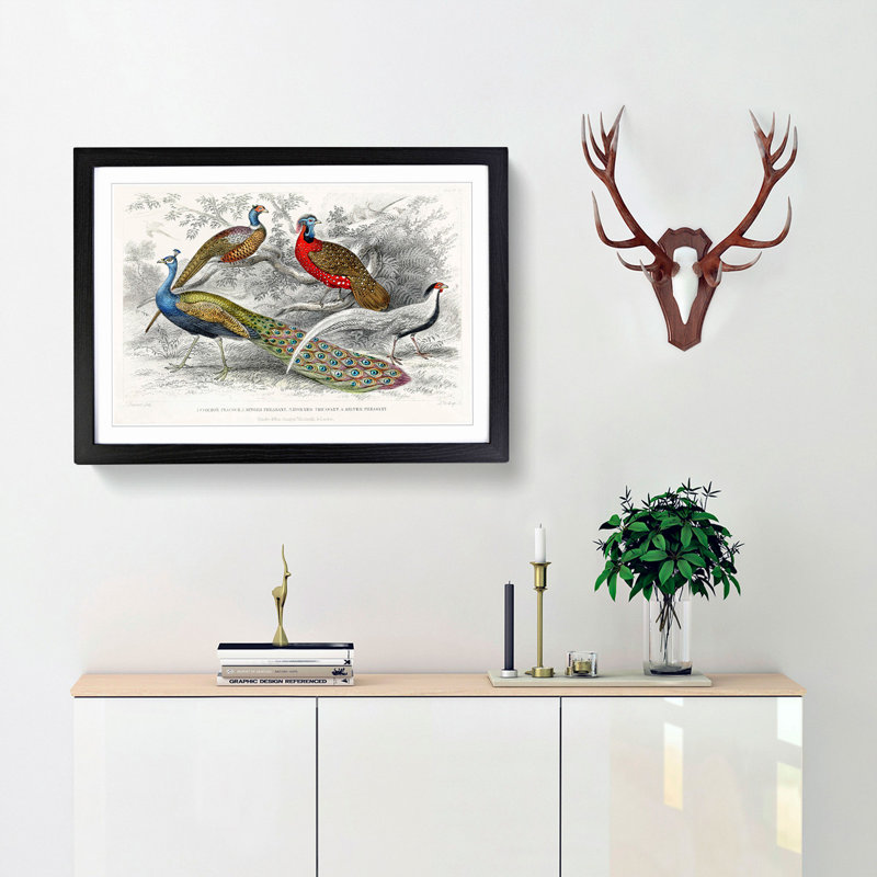 Peacock & Pheasants by Oliver Goldsmith - Picture Frame Painting Print, 36cm H x 48cm W x 2cm D, Black Framed