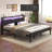 Metal Platform Bed with 2-tier shelves, RGB LED Light, Charging Station, Easy Assembly-696071610-695905257