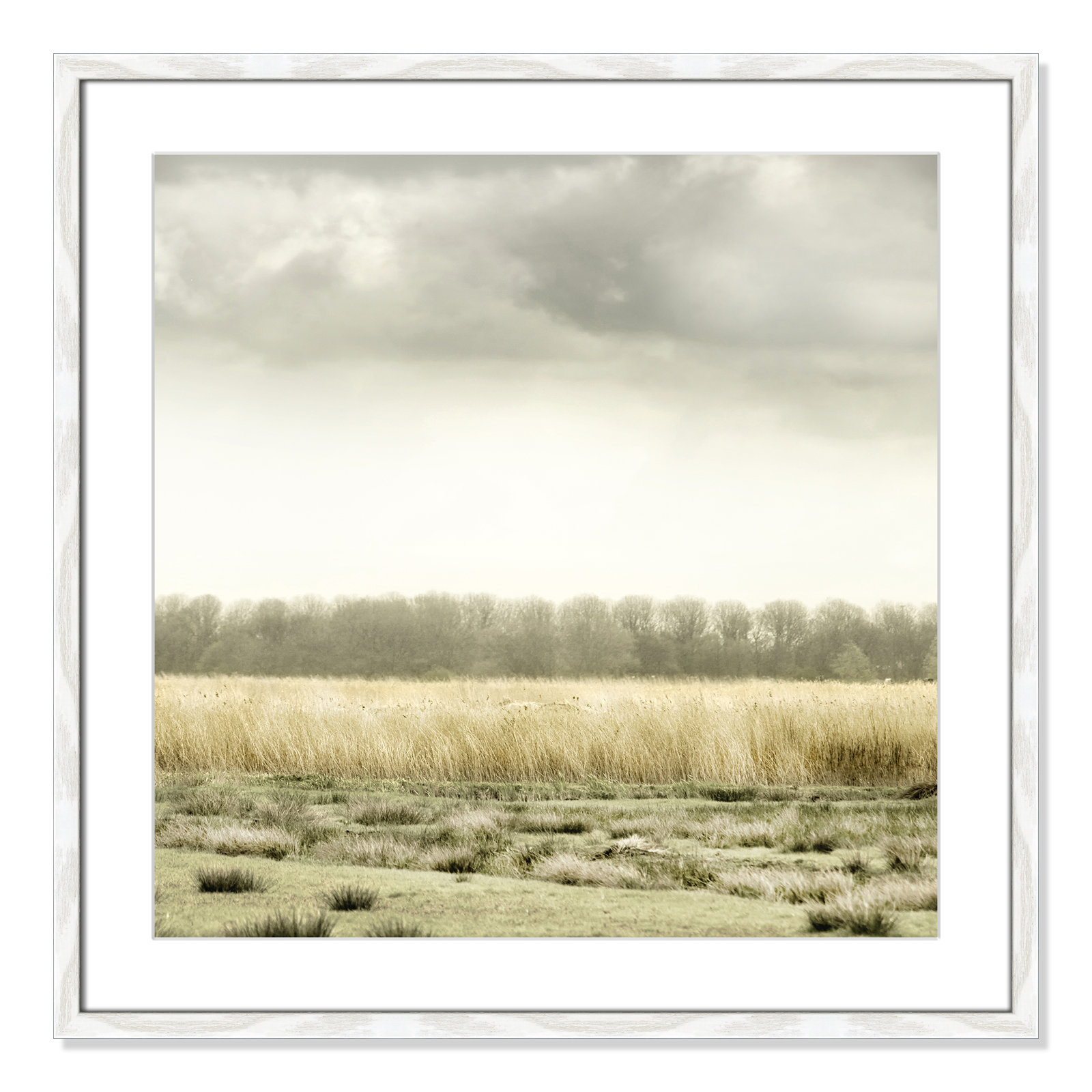 Henri "Meadowland" Print by Danita Delimont, 28.5" H x 28.5" W, White Wood Grain