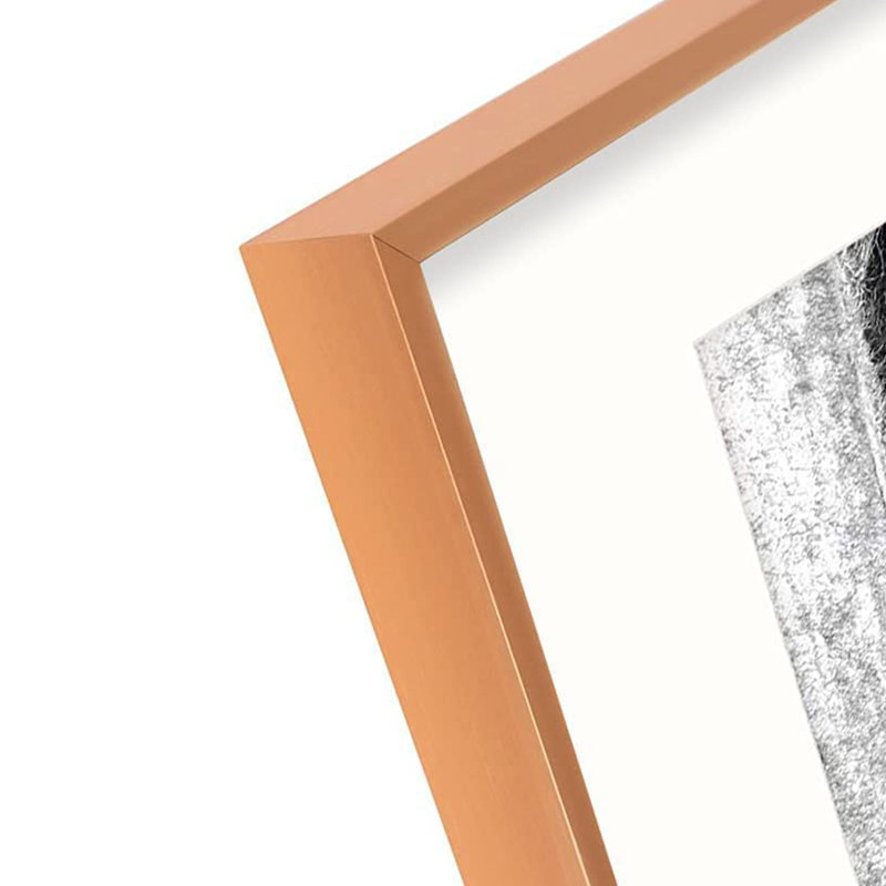 Roesler Rose Gold Metal Picture Frame - Set of 3 with Mat
