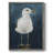 Night Gull I Framed Print - Solid Wood-1900125160